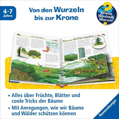 Innenseite – aufgeschlagenes Buch mit Illustrationen zum Thema „Von den Wurzeln bis zur Krone“.