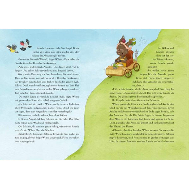 Innenseite 2 aus dem Buch.
Doppelseite mit viel Text und einer Illustration: Ein kleines Wildschweinmädchen fährt in einem selbstgebauten Holzauto einen Hügel hinunter. Vögel fliegen über der Szene, die im Grünen spielt.