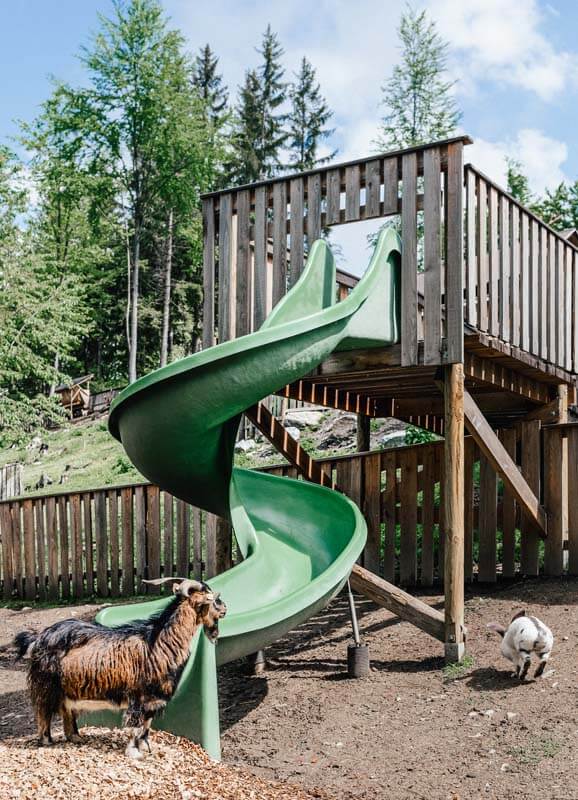 Ziege an Rutsche im Streichel-Gehege