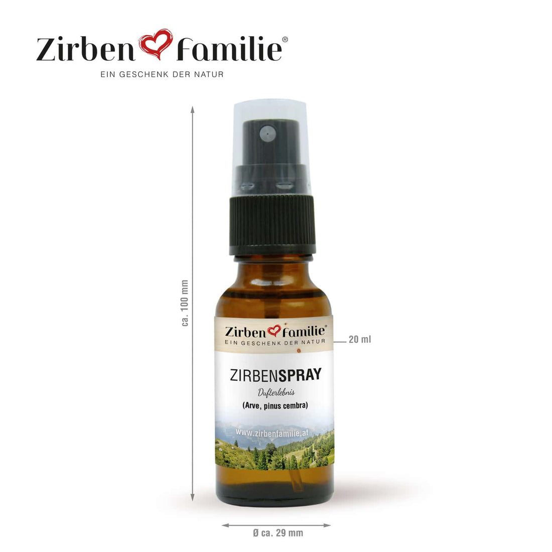 Zirbenspray von der Zirbenfamilie mit den Dimensionen