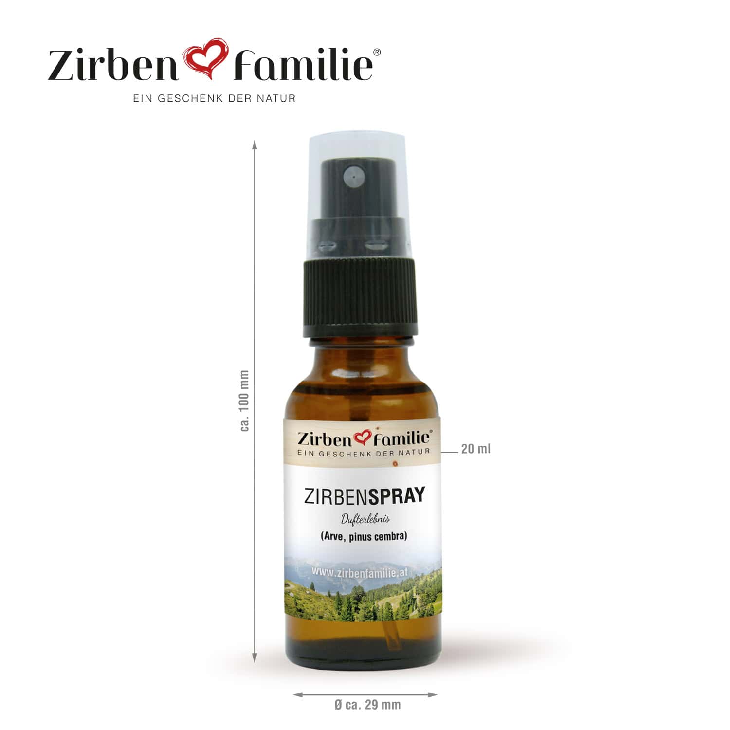 Zirbenspray von der Zirbenfamilie mit den Dimensionen