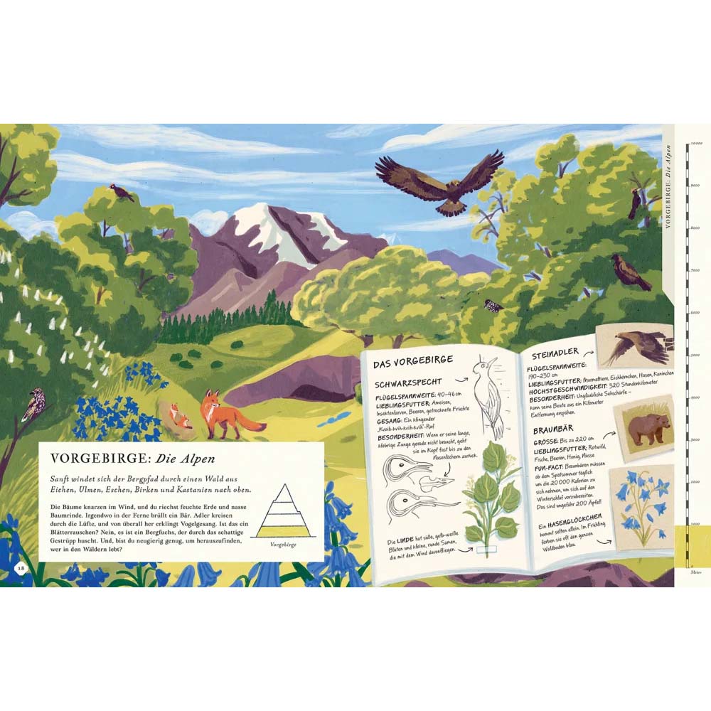 Besteige den Berg in diesem Buch