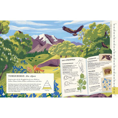 Info über das Vorgebirge aus dem Buch "besteige den Berg in diesem Buch"