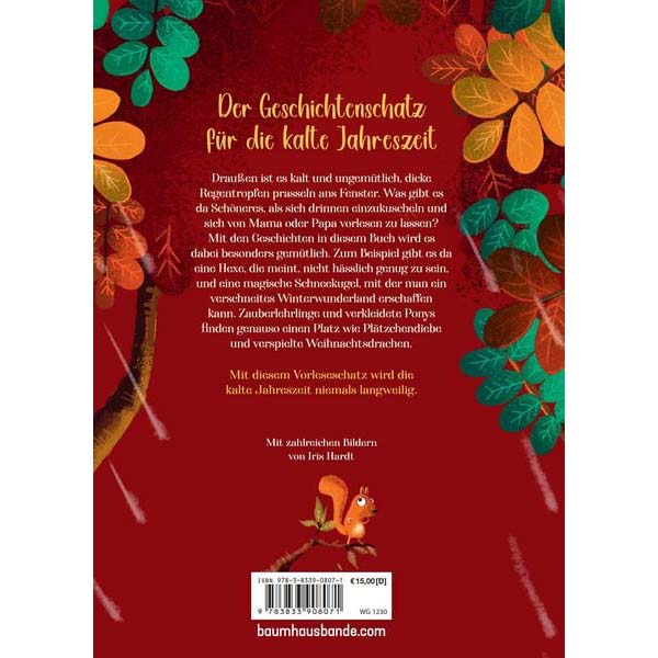 Rückseite des Buches &quot;Buntes Laub und Plätzchenduft&quot; mit kurzer Inhaltsangabe