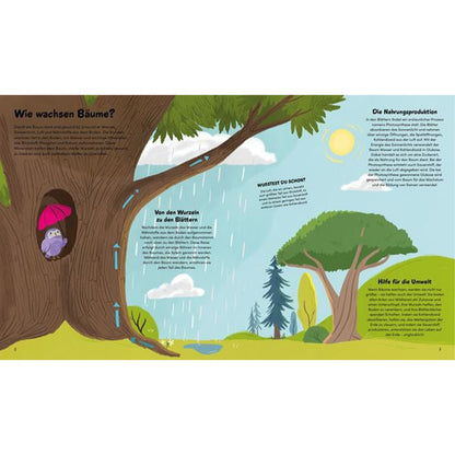 Buchseite – erklärt, wie Bäume wachsen; illustriert mit Wasser- und Sonnenkreislauf.
