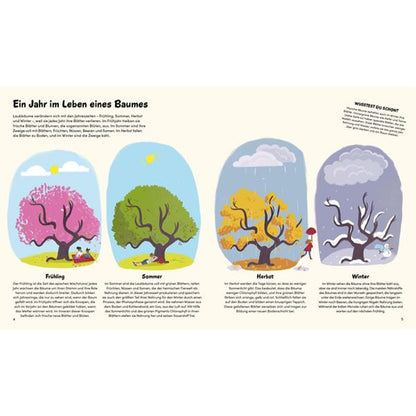 Buchseite – vier Jahreszeiten im Leben eines Baumes mit passenden Illustrationen.