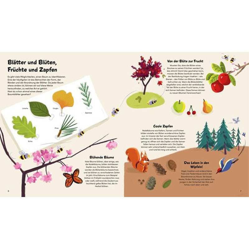 Buchseite – Blätter, Blüten, Früchte und Zapfen; mit Eichhörnchen und Bienen.