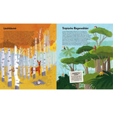 Buchseite – Vergleich von Laubbäumen und tropischen Regenwäldern mit Tieren.