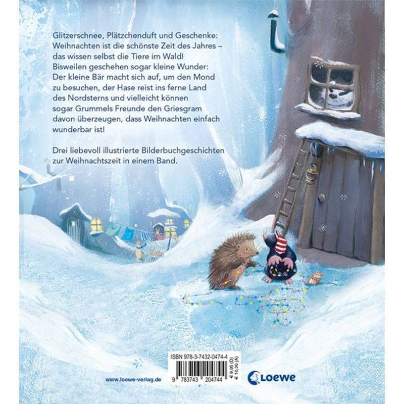 Rückseite des Buches mit winterlicher Illustration: ein Igel und ein Tier mit Mütze sitzen vor einem Baumhaus im verschneiten Wald, daneben Beschreibungstext zum Buch.