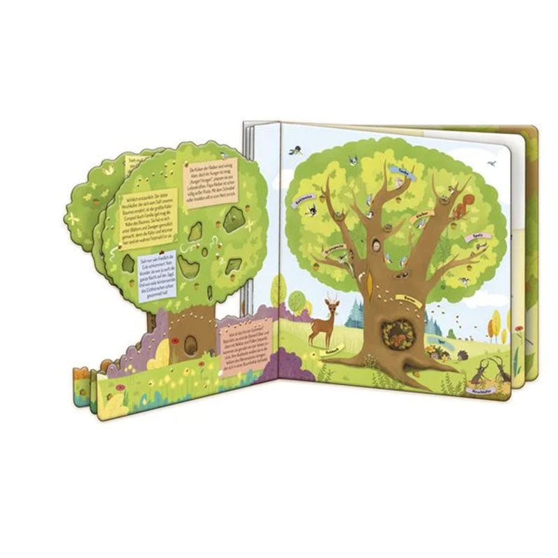 Fensterbuch Der Baum