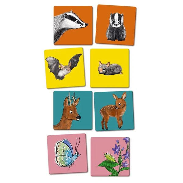 Auswahl an Memo Karten aus dem Spiel finde die Tierbabys