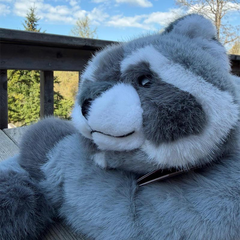 Gewichtskuscheltier Waschbär