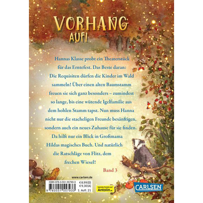 Buchrückseite – Klappentext über Hannas Abenteuer mit einer Igel-Familie, goldene Akzente.