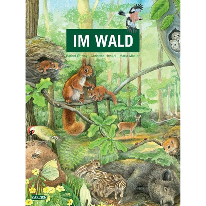 Buchcover „Im Wald“ von Carlsen Verlag, detailreiche Walddarstellung mit Eichhörnchen, Wildschwein und Reh.