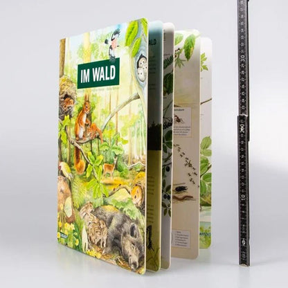 Buch „Im Wald“ aufrecht stehend mit Lineal daneben zur Größenansicht.