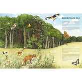 Buchseite „Komm mit in den Wald“ mit Fuchs, Rehen, Vögeln und Waldlandschaft.