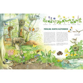 Buchseite „Frühling – Buntes Blütenmeer“ mit vielen Waldtieren und Frühlingspflanzen.
