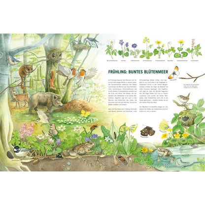 Buchseite „Frühling – Buntes Blütenmeer“ mit vielen Waldtieren und Frühlingspflanzen.