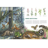 Buchseite „Sommer – Nachts im Wald“ mit nachtaktiven Tieren wie Eulen, Füchsen und Waschbär.