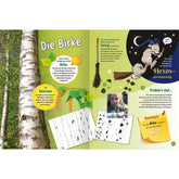 Buchseite „Die Birke“ mit Fotos, Illustrationen und Bastelideen rund um die Birke.