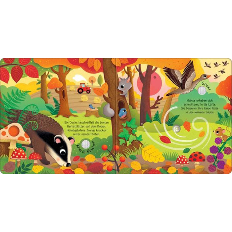 Buchseite mit herbstlicher Waldszene, bunten Blättern, Igel, Eichhörnchen, Pilzen und fliegenden Gänsen über dem Wald, mit Soundfeld zum Anhören von Naturgeräuschen