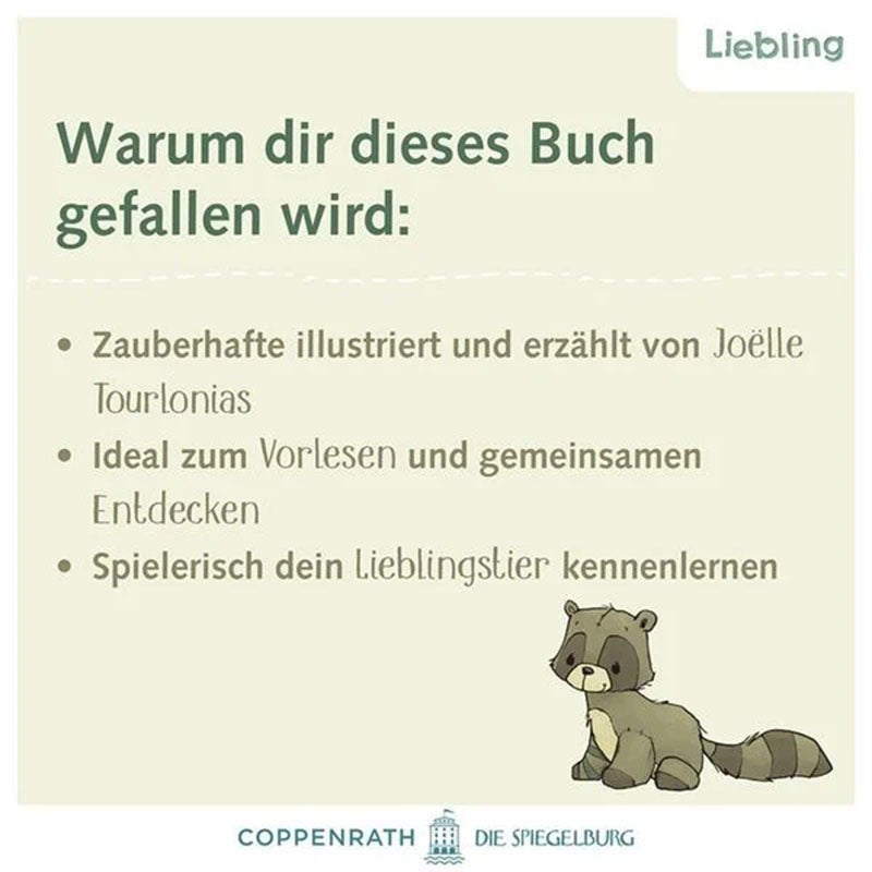 Infoseite mit Text „Warum dir dieses Buch gefallen wird“ und kleiner Waschbär Illustration.