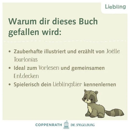 Infoseite mit Text „Warum dir dieses Buch gefallen wird“ und kleiner Waschbär Illustration.