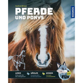 Kinderbuch Pferde und Ponys mit großem Foto eines braunen Ponys mit hellem Schopf auf dem Cover.