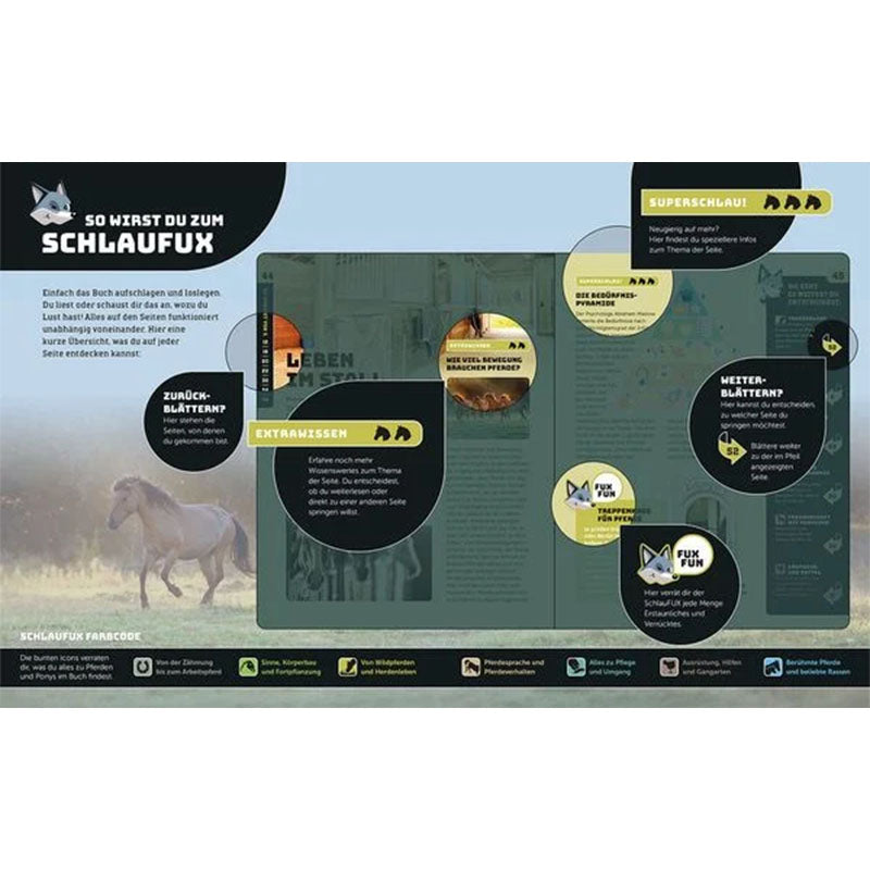 Innenseite des Buchs mit Infografiken, Icons und Text unter der Überschrift ‘So wirst du zum Schlaufux’.