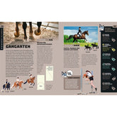 Doppelseite im Buch mit Illustrationen der Gangarten Schritt, Trab und Galopp sowie Reitübungen.
