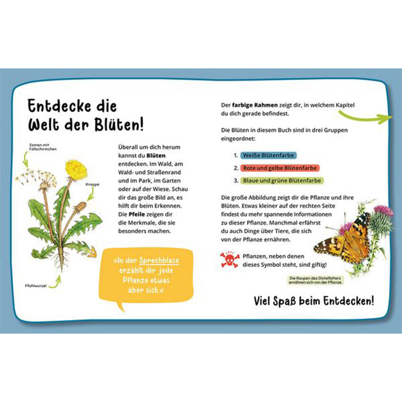Buchseite – Einführung in die Welt der Blüten mit Zeichnungen und Erklärungen zu Farben und Formen.