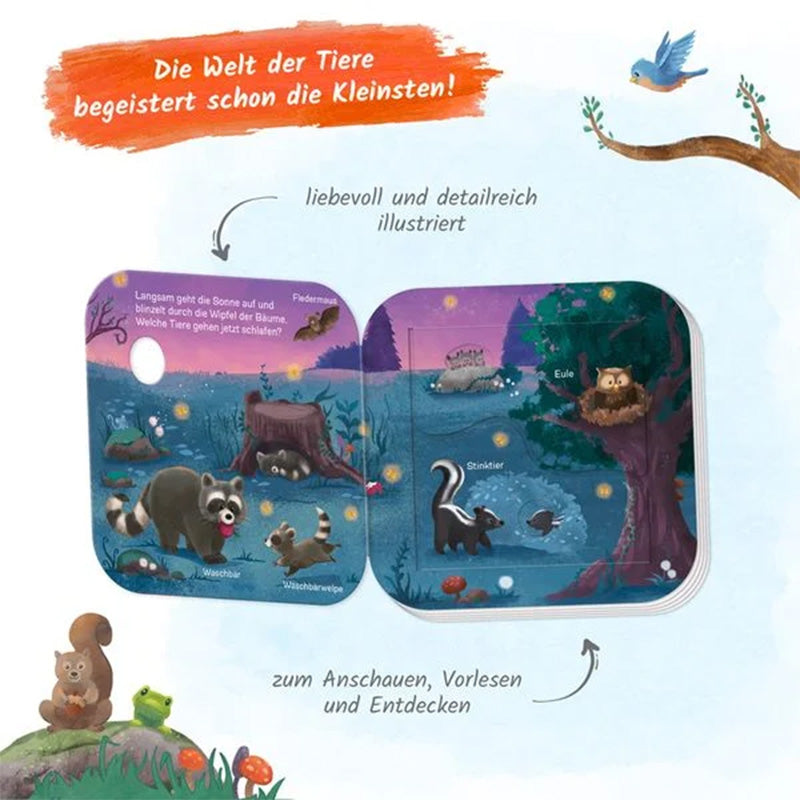 Mein erstes Klappenbuch Tiere im Wald Wer lebt wo?