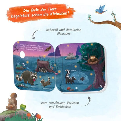 Mein erstes Klappenbuch Tiere im Wald Wer lebt wo?