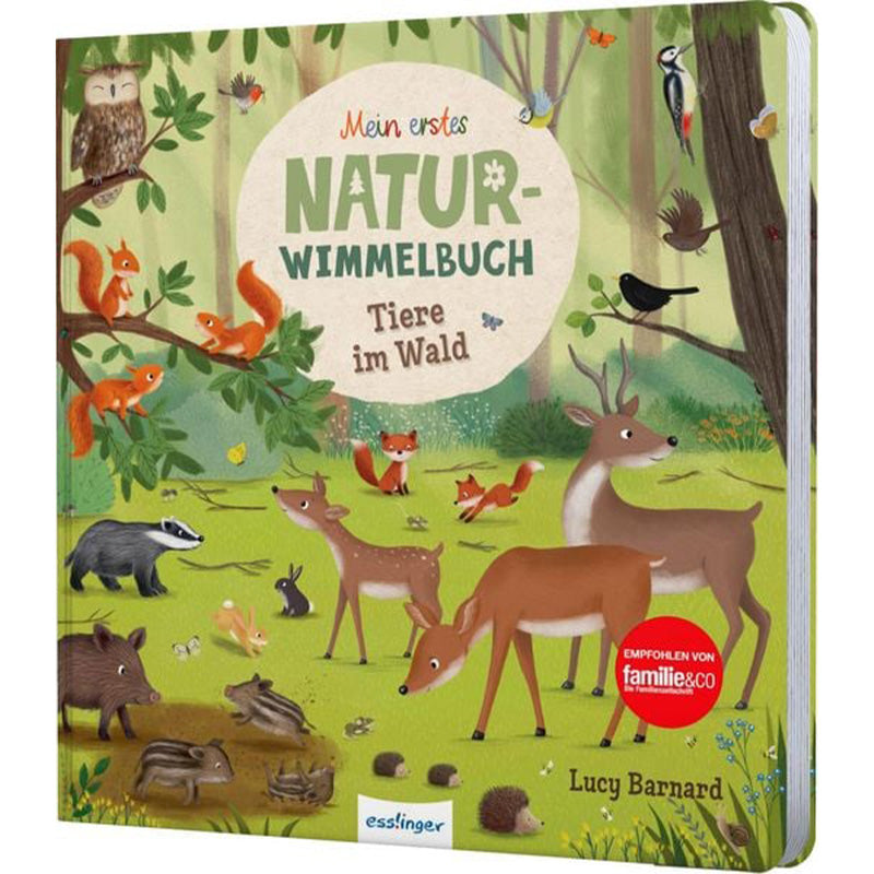 Schräg gehaltene Ansicht des Buches „Mein erstes Natur-Wimmelbuch – Tiere im Wald“ mit dem Cover und Waldtier-Illustrationen.