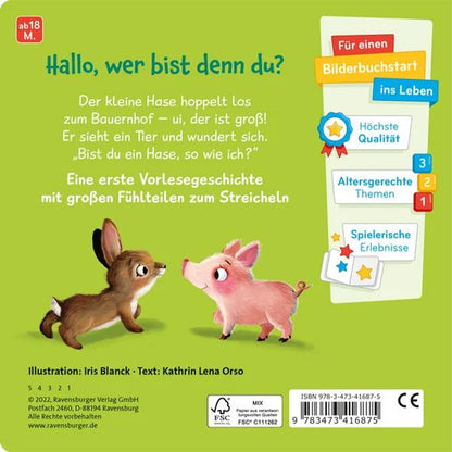 Buchrückseite mit Beschreibung der Geschichte und Illustration von Hase und Ferkel.