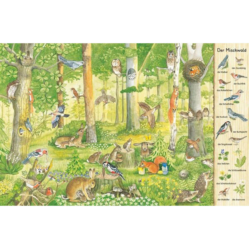 Buchinnenseite mit Wimmelbild „Der Mischwald“ zeigt viele Tiere wie Vögel, Rehe und Eichhörnchen zwischen Bäumen im Wald.