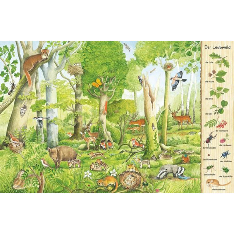 Buchinnenseite mit Wimmelbild „Der Laubwald“ zeigt viele Waldtiere zwischen Laubbäumen sowie Pflanzen und Insekten.