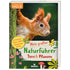Buchcover „Mein großer Naturführer – Tiere & Pflanzen“ von Jana Bösken (moses. Verlag, Expedition Natur). Ein Eichhörnchen schaut neugierig hinter einem Baum hervor; Hinweis „Entdecke über 200 heimische Arten“.