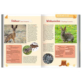 Buchseiten – Säugetiere Feldhase und Wildkaninchen mit Bildern, Arteninfos und Wissenswertem über Lebensweise und Aufzucht der Jungen.