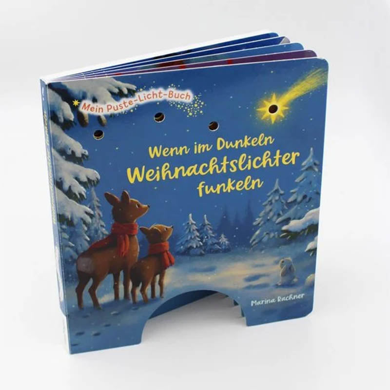 Mein Puste-Licht-Buch: Wenn im Dunkeln Weihnachtslichter funkeln