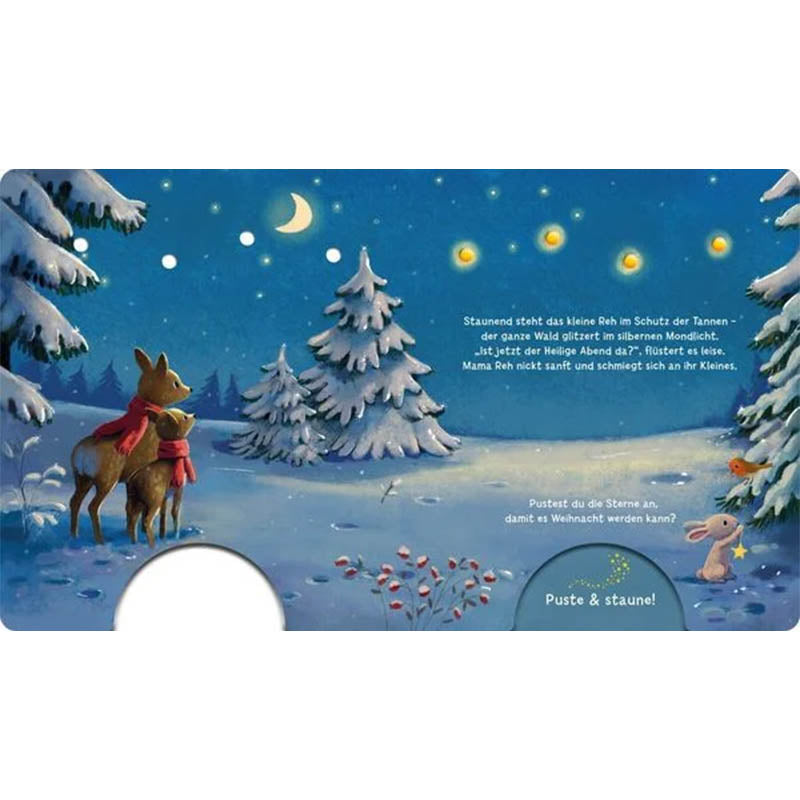 Mein Puste-Licht-Buch: Wenn im Dunkeln Weihnachtslichter funkeln