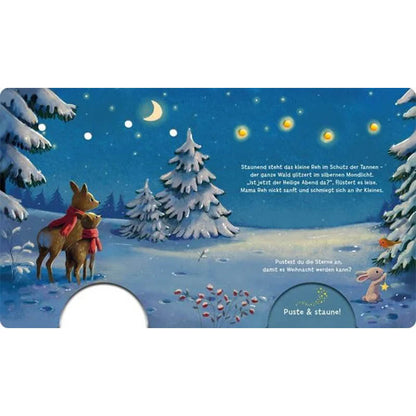 Mein Puste-Licht-Buch: Wenn im Dunkeln Weihnachtslichter funkeln