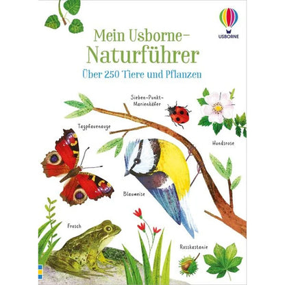 Buchcover „Mein Usborne-Naturführer – Über 250 Tiere und Pflanzen“ mit Illustrationen von Blaumeise, Marienkäfer, Tagpfauenauge, Hundsrose, Frosch und Rosskastanie.