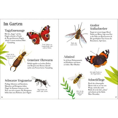 Buchseiten – Insekten und Tiere „Im Garten“ mit Illustrationen und kurzen Infos zu Tagpfauenauge, Ohrwurm, Ameise, Wollschweber, Admiral und Schwebfliege.