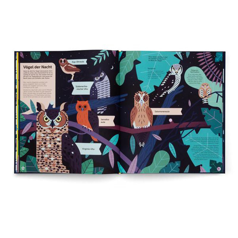 Buchseite Innenseite, „Vögel der Nacht“ mit bunt illustrierten Eulen auf Ästen.