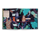 Buchseite Innenseite, „Vögel der Nacht“ mit bunt illustrierten Eulen auf Ästen.