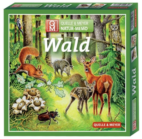 Spielschachtel des Natur-Memo „Wald“ von Quelle &amp; Meyer mit Waldtieren wie Eichhörnchen, Reh mit Kitz, Wildschweinen, Eule, Specht, Pilzen und Hirschkäfer.