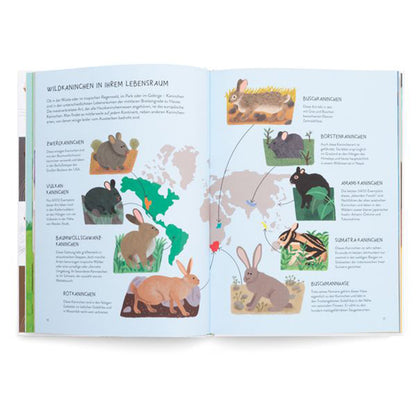 Buchseite – Weltkarte mit Illustrationen verschiedener Wildkaninchenarten.