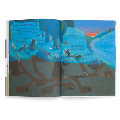 Buchseite – nächtliche Szene mit Kaninchen über und unter der Erde.