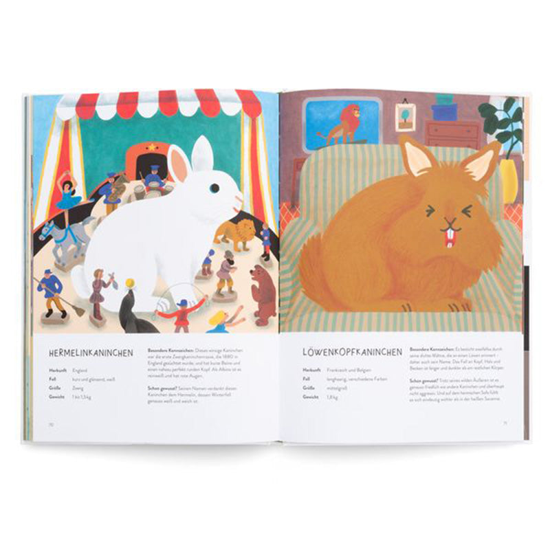 Buchseite – Illustrationen von Hermelinkaninchen und Löwenkopfkaninchen mit Beschreibungen.